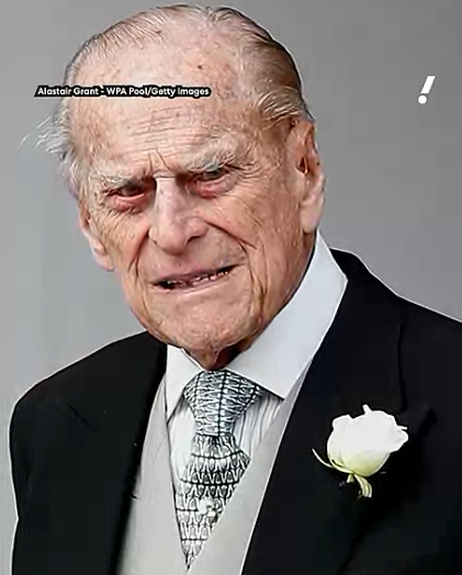Prince Philip 2025-11-06 5.13.55 AM Prince Philip 2025-11-06 5.13.55 AM